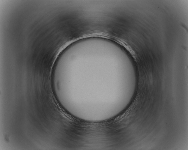 X0000098021316200803280744