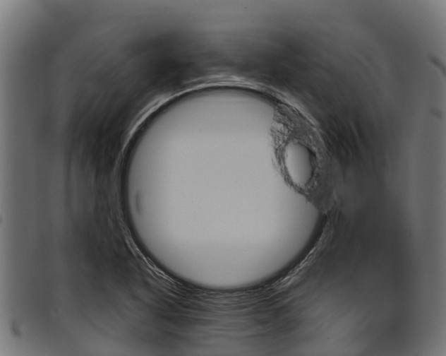 X0000098021318200803280744