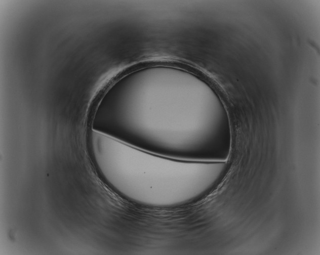 X0000098021319200803280744
