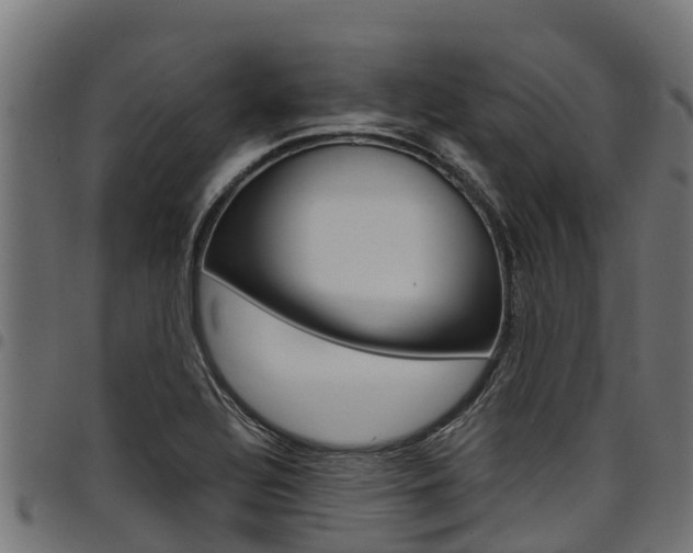 X0000098021320200803280744