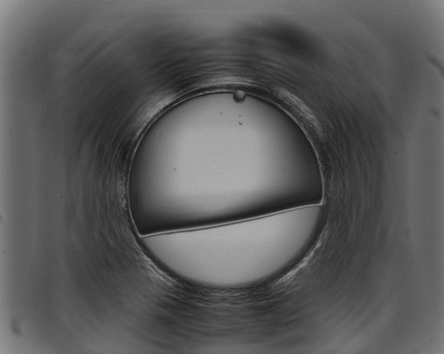 X0000098021321200803280744
