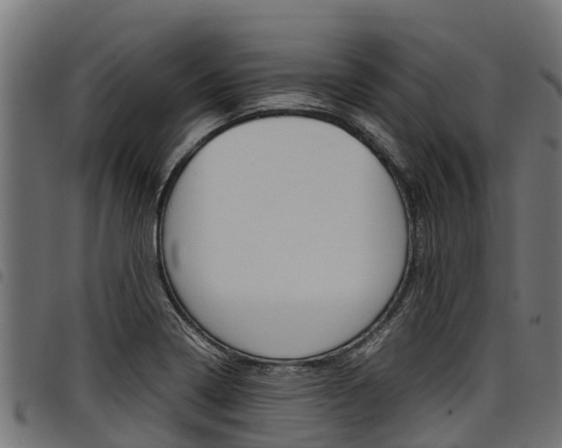 X0000098021322200803280744