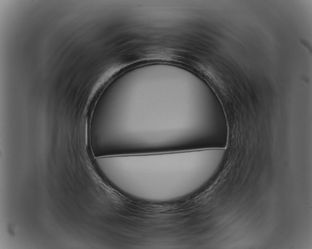 X0000098021323200803280744