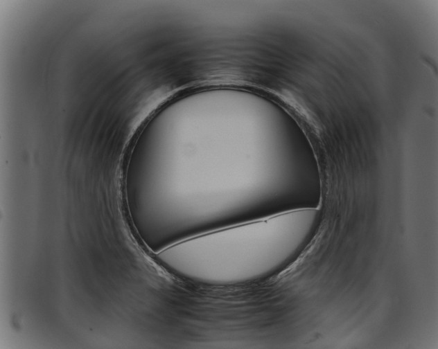X0000098021325200803280744