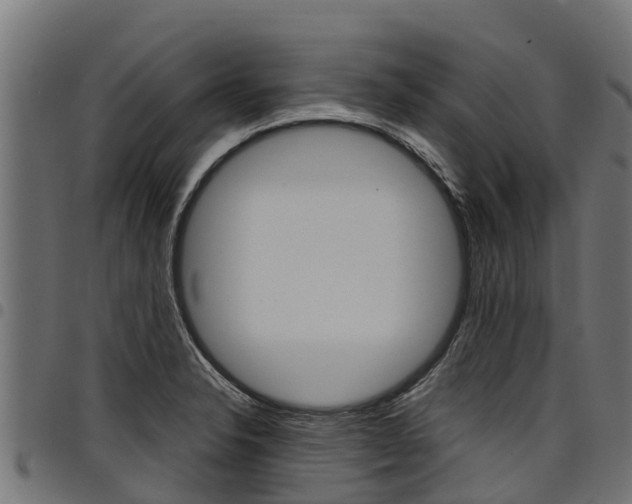 X0000098021326200803280745