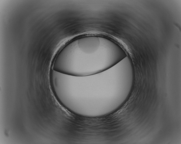 X0000098021327200803280745