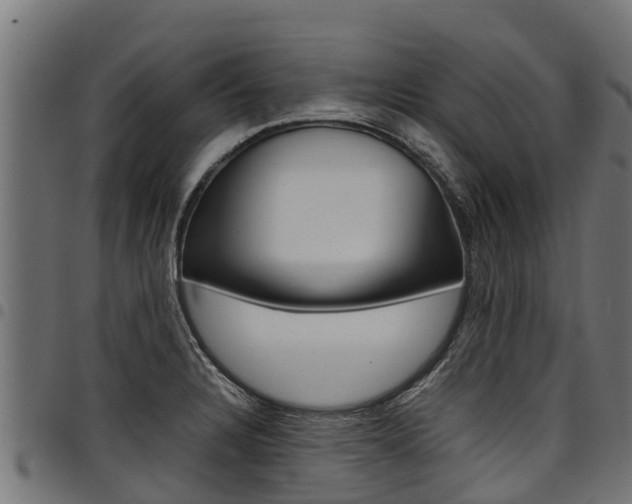 X0000098021328200803280745