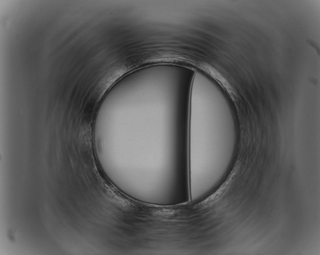 X0000098021329200803280745