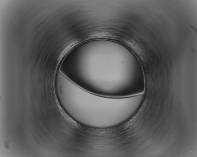 X0000098021330200803280745