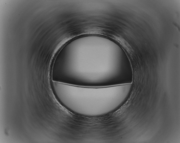 X0000098021331200803280745