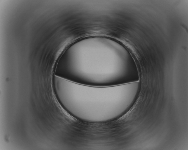 X0000098021333200803280745