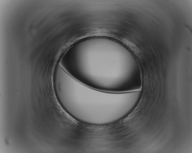 X0000098021334200803280745