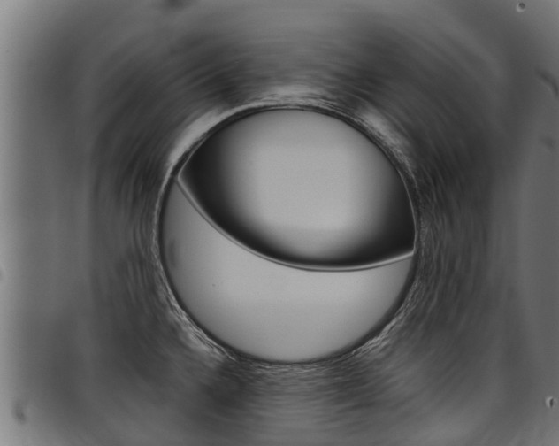 X0000098021336200803280745