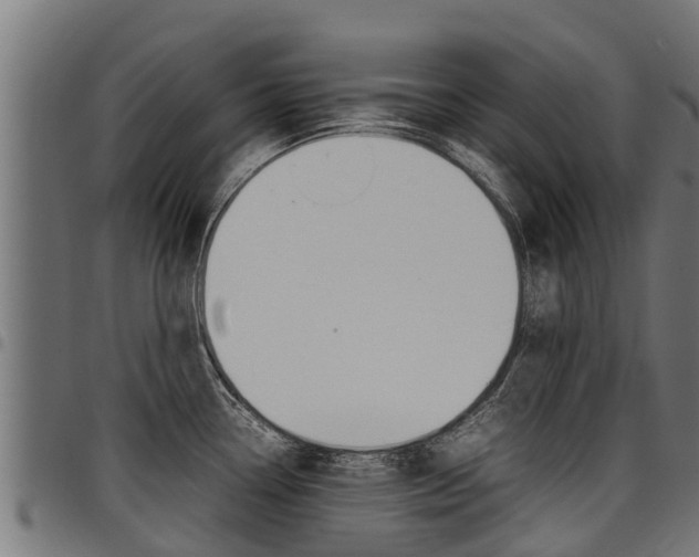 X0000098021338200803280745