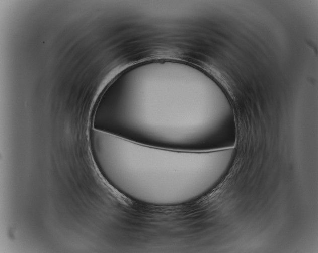 X0000098021339200803280745
