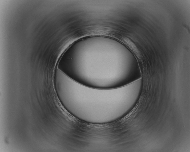X0000098021340200803280745