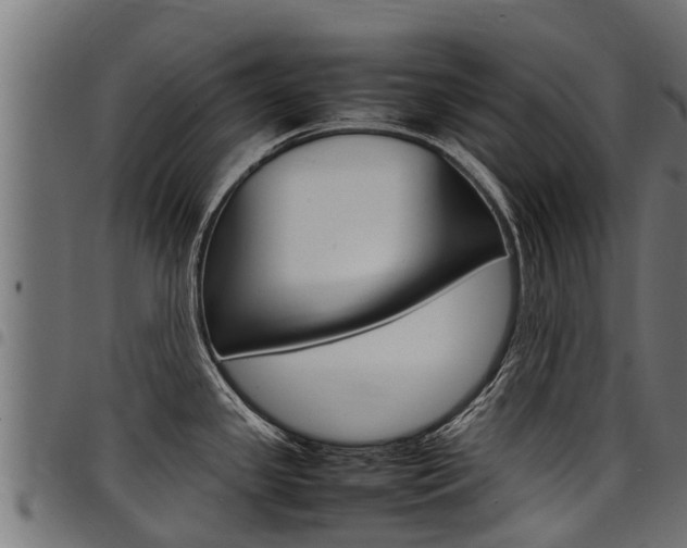 X0000098021341200803280745