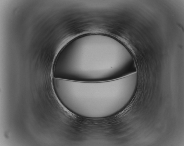 X0000098021343200803280745