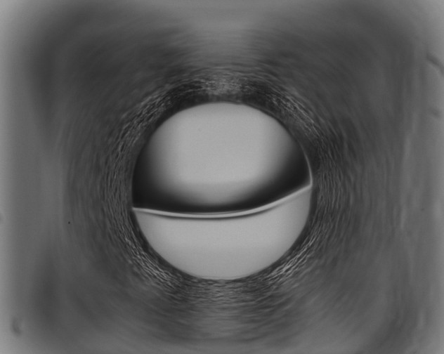 X0000098021345200803280744