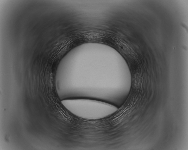 X0000098021346200803280744