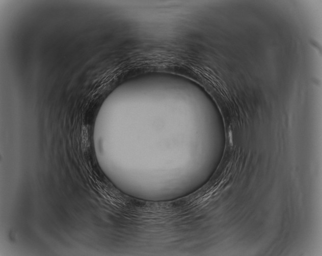 X0000098021347200803280744