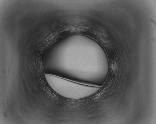 X0000098021348200803280744