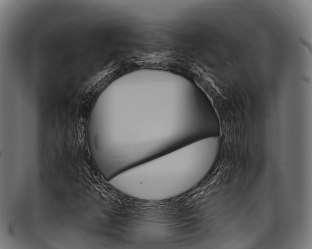 X0000098021350200803280744