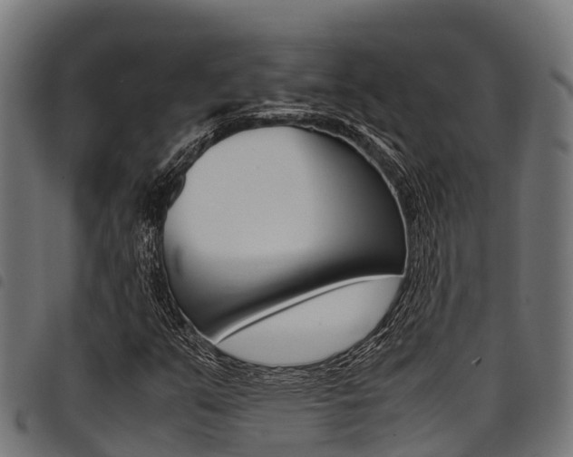 X0000098021351200803280744