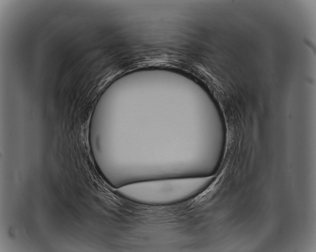 X0000098021353200803280744