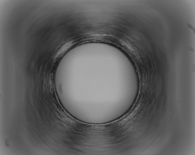X0000098021354200803280744