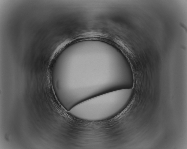 X0000098021358200803280744