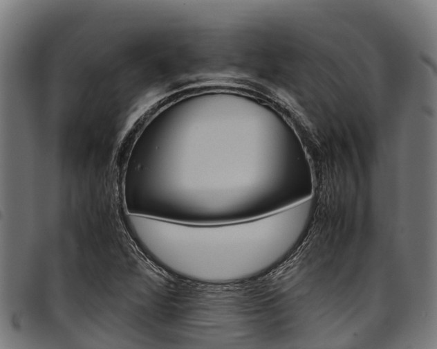 X0000098021360200803280744