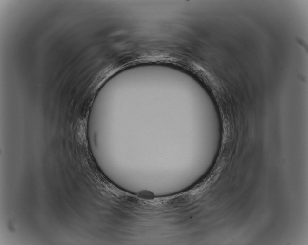 X0000098021361200803280744