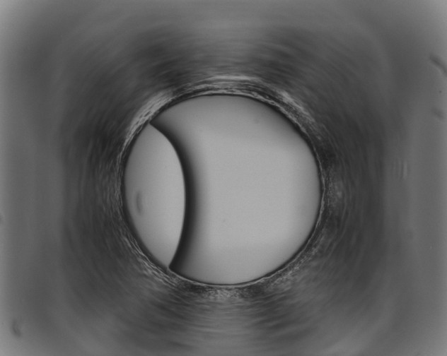 X0000098021362200803280744
