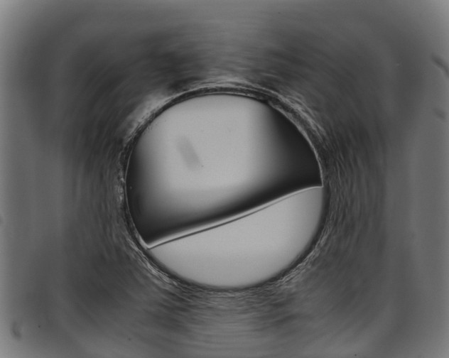 X0000098021363200803280744