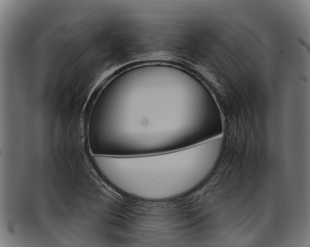 X0000098021364200803280744