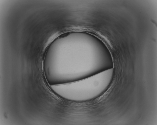 X0000098021365200803280744