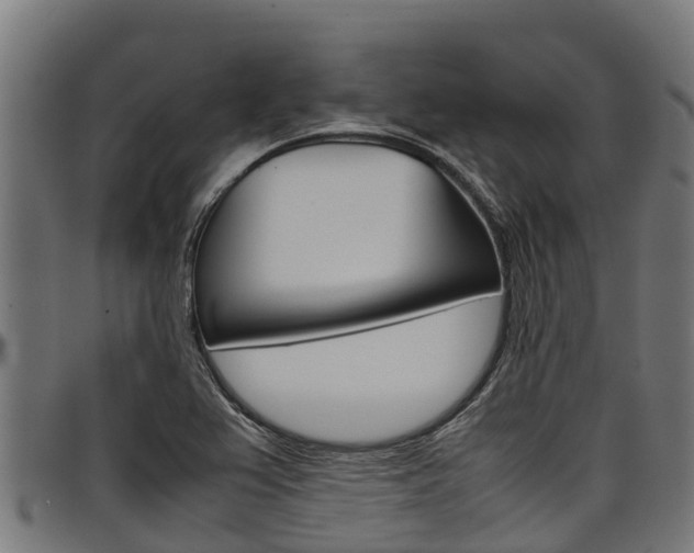 X0000098021367200803280744