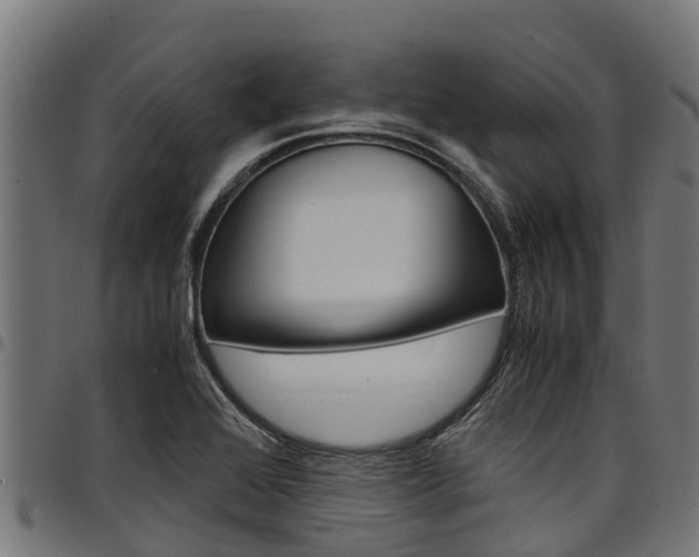 X0000098021368200803280744
