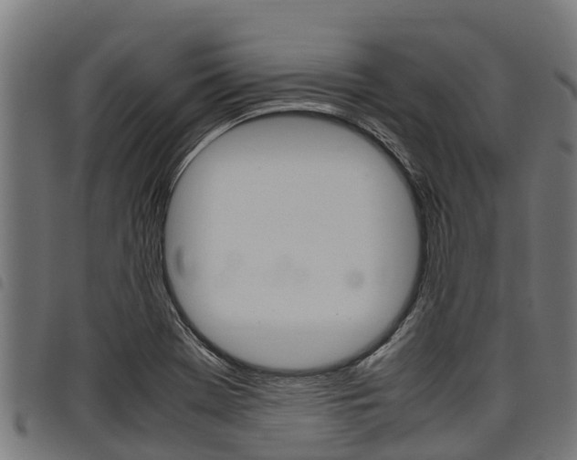 X0000098021369200803280744