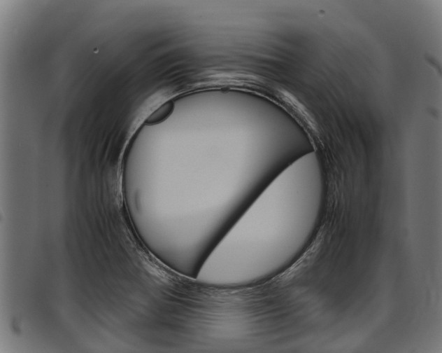 X0000098021370200803280744