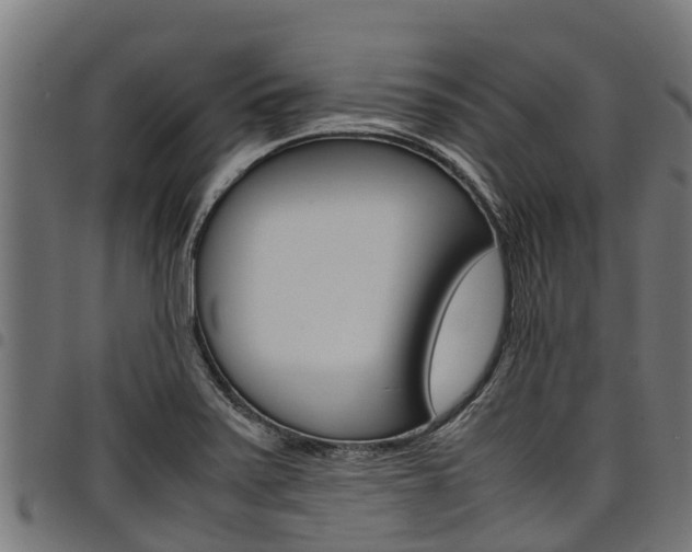 X0000098021371200803280744