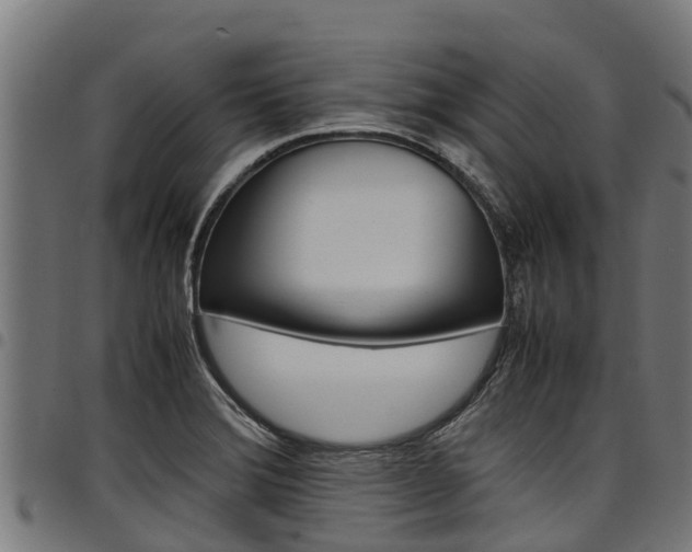 X0000098021372200803280744