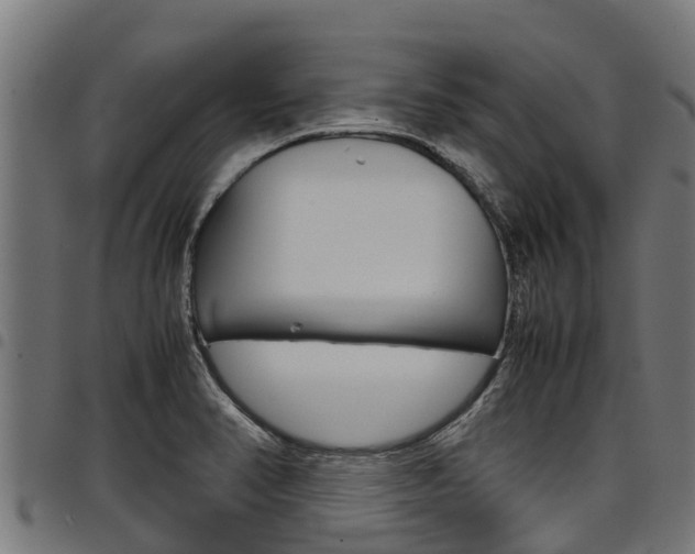 X0000098021374200803280744