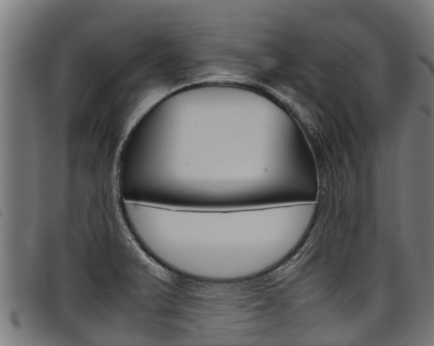 X0000098021375200803280744