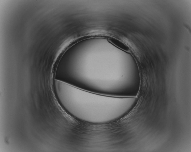 X0000098021376200803280744