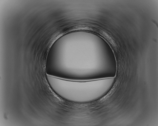 X0000098021377200803280743