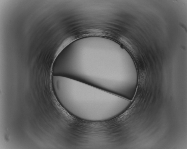 X0000098021378200803280743