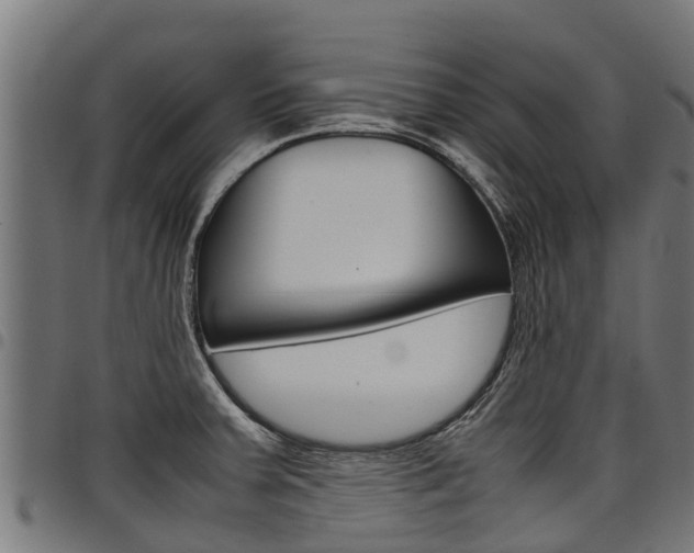 X0000098021379200803280743