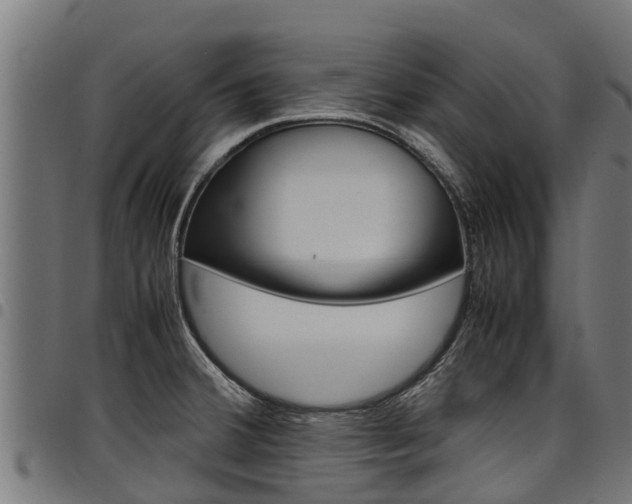 X0000098021380200803280743